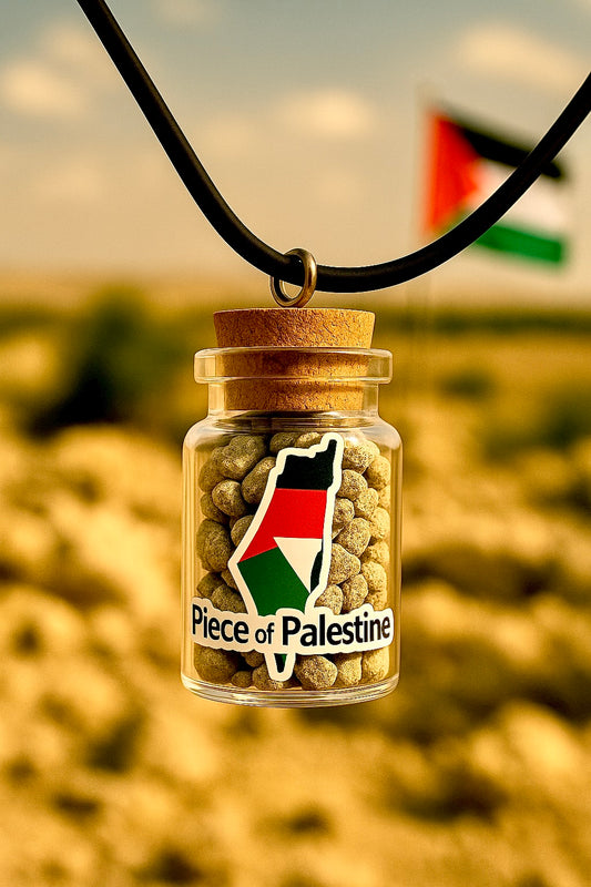 Proudly wear Palestine Rubble - Necklace (Leather Cord)